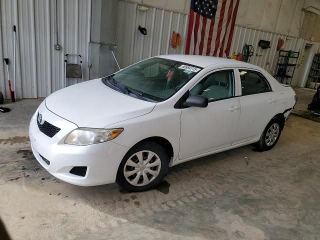 2010 Toyota Corolla Base