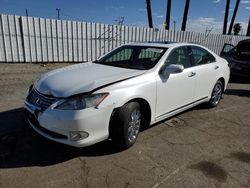 Lexus Vehiculos salvage en venta: 2012 Lexus ES 350