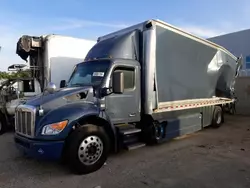 Salvage trucks for sale at Colton, CA auction: 2023 Peterbilt 536