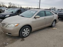 Vehiculos salvage en venta de Copart Fort Wayne, IN: 2009 Toyota Camry Base