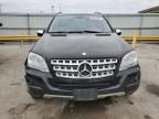 2009 Mercedes-Benz ML 350