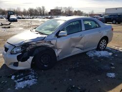 Salvage cars for sale at New Britain, CT auction: 2010 Toyota Corolla Base