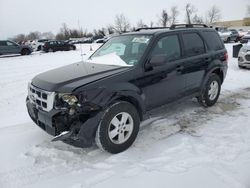 Salvage cars for sale at Bridgeton, MO auction: 2012 Ford Escape XLT