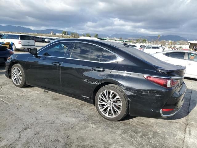 2019 Lexus ES 300H