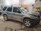 2006 Ford Escape XLT