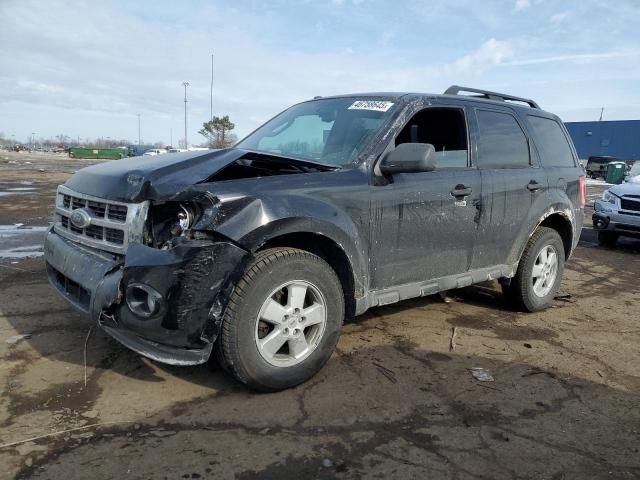 2009 Ford Escape XLT