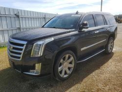 Salvage cars for sale at Anderson, CA auction: 2016 Cadillac Escalade Luxury