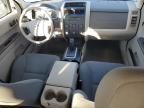 2008 Ford Escape XLS