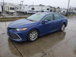 Salvage cars for sale at Sacramento, CA auction: 2023 Toyota Camry LE