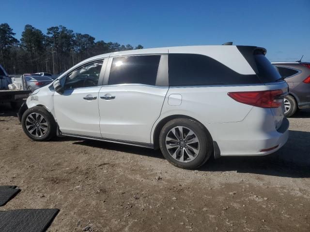 2022 Honda Odyssey EXL