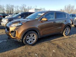 Salvage cars for sale at Baltimore, MD auction: 2017 KIA Sportage LX