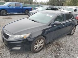 Salvage cars for sale at Riverview, FL auction: 2013 KIA Optima LX