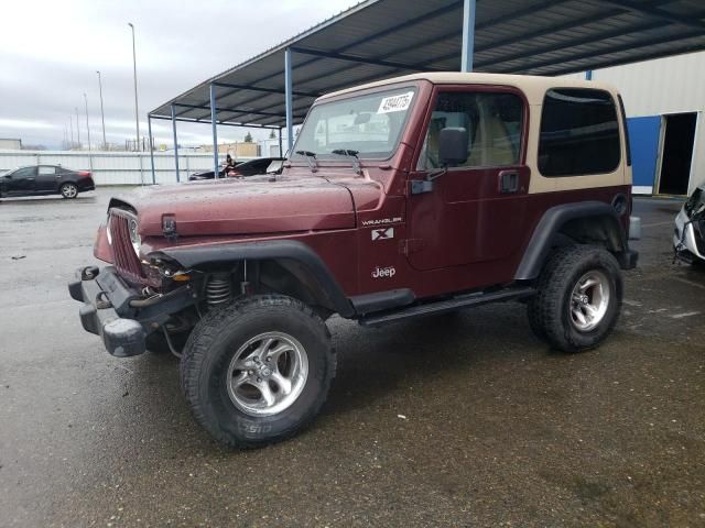 2002 Jeep Wrangler / TJ X