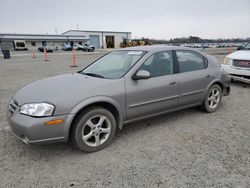 Salvage cars for sale at Lumberton, NC auction: 2001 Nissan Maxima GXE