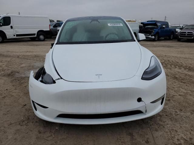 2025 Tesla Model Y