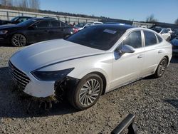 2020 Hyundai Sonata Hybrid en venta en Arlington, WA