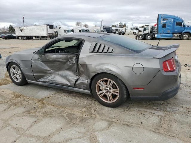 2010 Ford Mustang