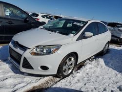 Salvage cars for sale at Elgin, IL auction: 2014 Ford Focus SE