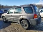 2006 Ford Escape XLS