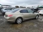 2008 Honda Accord EX