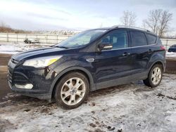 Carros con verificación Run & Drive a la venta en subasta: 2016 Ford Escape Titanium