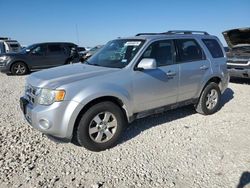 Salvage cars for sale at Taylor, TX auction: 2010 Ford Escape Limited