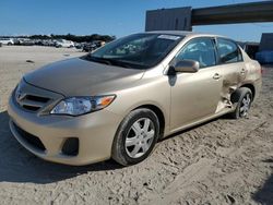 2011 Toyota Corolla Base en venta en West Palm Beach, FL