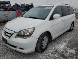 Salvage cars for sale at Cahokia Heights, IL auction: 2007 Honda Odyssey EXL