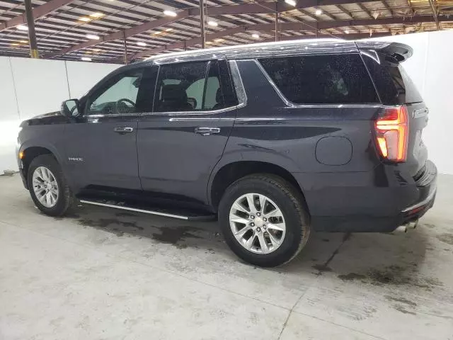 2024 Chevrolet Tahoe C1500 Premier