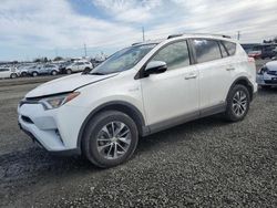 Vehiculos salvage en venta de Copart Eugene, OR: 2018 Toyota Rav4 HV LE