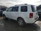 2011 Honda Pilot EXL