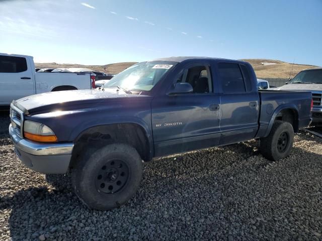 2001 Dodge Dakota Quattro