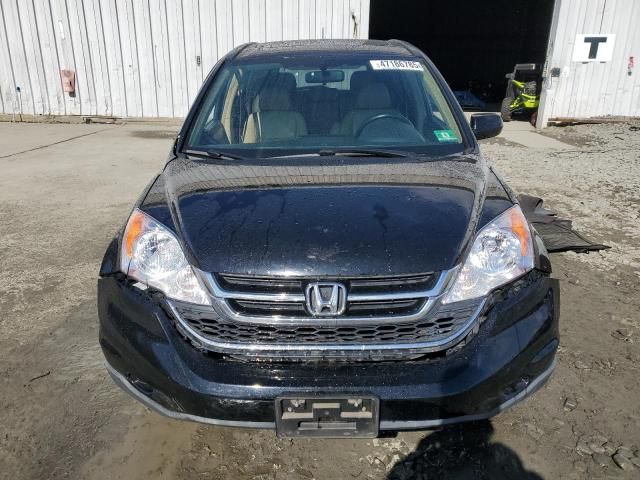 2010 Honda CR-V EXL