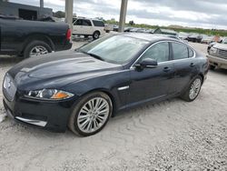 Salvage cars for sale at West Palm Beach, FL auction: 2012 Jaguar XF Portfolio