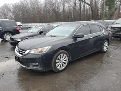 Salvage cars for sale at Glassboro, NJ auction: 2015 Honda Accord EX