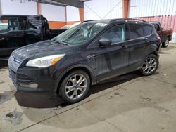 Salvage SUVs for sale at auction: 2014 Ford Escape SE