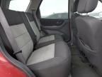 2007 Ford Escape XLT