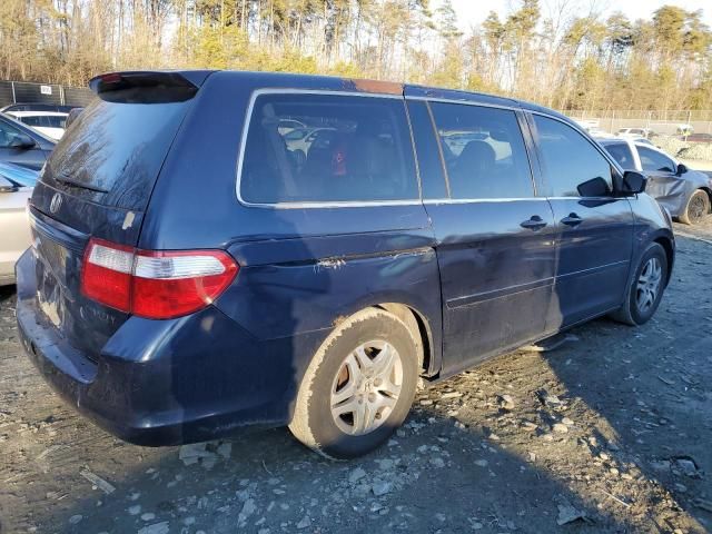 2005 Honda Odyssey EXL