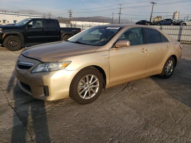 2010 Toyota Camry Hybrid