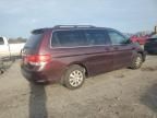 2008 Honda Odyssey EXL