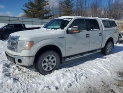 Salvage cars for sale at Davison, MI auction: 2013 Ford F150 Supercrew