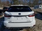 2022 Lexus RX 350 F Sport