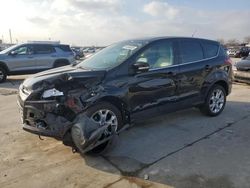 Salvage cars for sale at Grand Prairie, TX auction: 2013 Ford Escape SEL