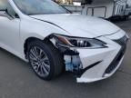 2019 Lexus ES 300H