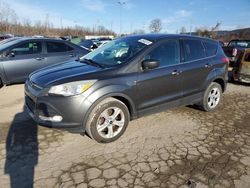 Salvage cars for sale at Bridgeton, MO auction: 2015 Ford Escape SE