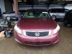 2009 Honda Accord LXP