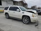 2007 Cadillac Escalade Luxury