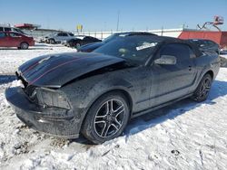 Salvage cars for sale at Cahokia Heights, IL auction: 2005 Ford Mustang GT