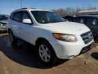 2007 Hyundai Santa FE SE