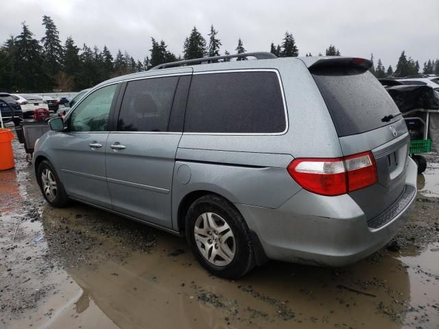 2005 Honda Odyssey EX